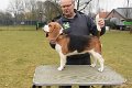 Afb_20170219_charlie (3)